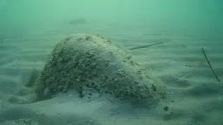 Underwater lake Balaton after iceloss 2019