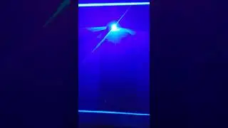 KELLERKINDER RZS @ ABRAXXASS 29.12.17 // TECHNO MIT TASTY & KELLERKINDER RZS /