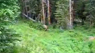 RoadHacker: Rocky Mountain National Park, Colorado