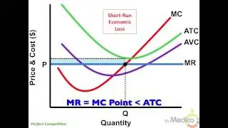 Perfect Competition - What You Must Know in 4 Minutes - Microeconomics