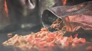 Stanton Brothers - Premium Smoking Wood Chips for your favorite bourbon or whiskey drinks.