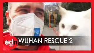 Coronavirus Cat Rescue | Can Martin Save Cat from Wuhan Lockdown? (Part 2)