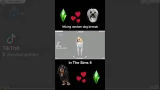 Mix Breeding Random Dog Breeds In The Sims 4 / Part 1