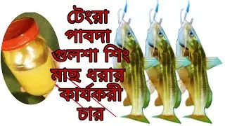 Tengra macher Char, All catfish Bait.