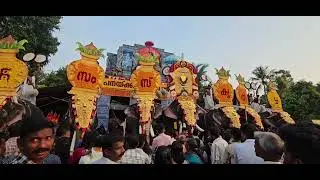 പനയ്&zwnj;ക്കറ്റോടിൽ പൂരം 2025#pooram #thrikadavoor_shivaraju #pooramvibes #kerala #pooram 