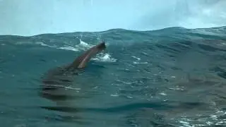 Winter and Hope Playing in Their Water Spout