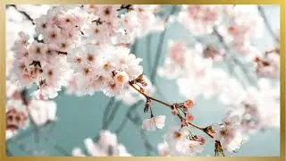 Cherry Blossom Elegance | Digital Wall Art by WallWhisper Digital Art