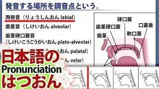 【上級者向け】日本語の発音の学習３「有声音・無声音・調音点・調音法について。」