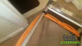Puppy had a HUGE accident!! | Satisfying cleaning 👌