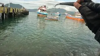 TIAP HARI DI PANCING IKAN DI SINI TAK ADA HABISNYA || MANCING JORAN TEGEK DI PINGGIRAN LAUT