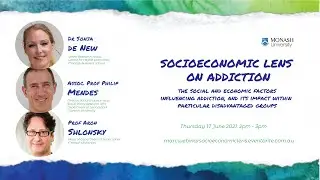Socioeconomic lens on addiction