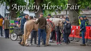 APPLEBY HORSE FAIR - Street Photography