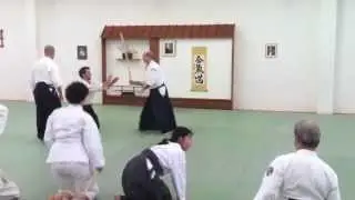 Claude Berthiaume Shihan - Tachitori technique #1