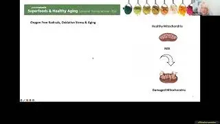 Superfoods To Support Healthy Aging Seminar
