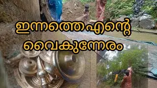 ഇന്നത്തെ എന്റെ വൈകുന്നേരം കണ്ടാലോ |evening |#evening #video #vibishaashok 