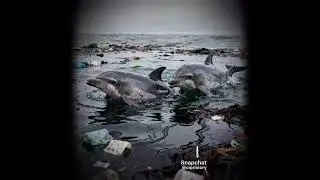 Pls make the world beter