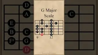 All 5 Positions of the G Major Scale #guitarlesson