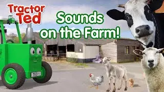 Can You Guess The Sounds On The Farm With Tractor Ted? 🐄🚜👨🏼&zwj;🌾🐴🐓