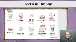 Dental Vocabulary and Teeth in Hmong
