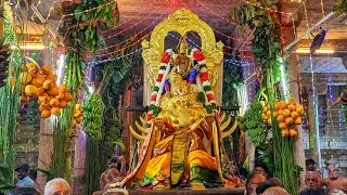 நான்குநேரி ஸ்ரீவானமாமலை பெருமாள் திருக்கோவில் கார்த்திகை உத்ராடம் எண்ணெய்க்காப்பு கருடசேவை 5-12-2024