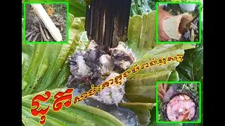 Field food 7 ដុតសាច់គោក្នុងបំពង់ឬស្សី (Roast beef in a bamboo tube)