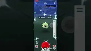 Я поймала шайни покемона woobat?! I catching shiny pokemon woobat?!!