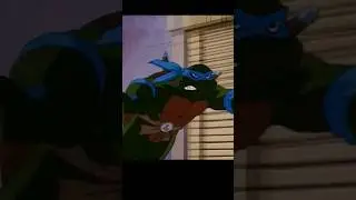 The 