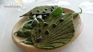 Tetedoie - restaurant 