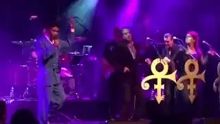 The Beautiful Ones - Live in Bibelot