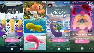 Invitaciones a TATSUGIRI REGIONALES Regigigas oscuro Incursiones Pokemon GO live Remote raid invites