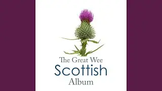 [The Jigs Medley] Haste To The Wedding / Jim McAllster's Jig / Stan Chapman / The Sailor's Wife
