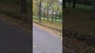# эта четкая походка, фристайл-стихотворение
