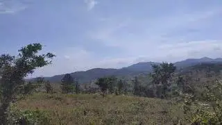 Walking Grass Forest Mountain