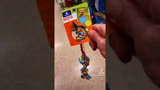 Yes and No to These Dog Chews & Chew Toys
