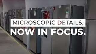 Ramtons - Microscopic details, now in focus.