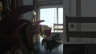 Poochy and the Strawberry.