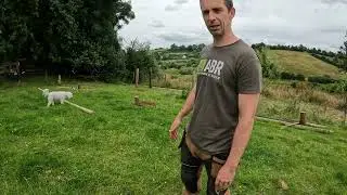 #1 Traditional Log Cabin Build Ireland (2024)