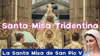 MISA TRIDENTINA ⚪ - ⛪LA SANTA MISA DE TODOS LOS TIEMPOS🙏🏻. LA SANTA MISA DE SAN P&Iacute;O V - Martes.