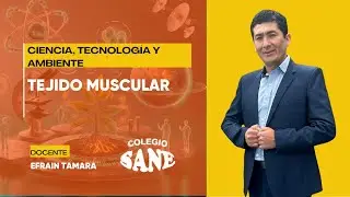 CTA / TEJIDO MUSCULAR / 2º II BIM / 11 - 01