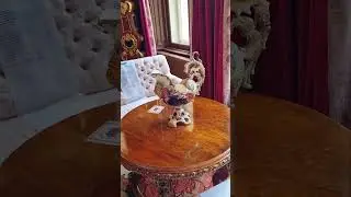 Beautiful Card Table and Vase in the Castle #shorts #castle #table #vase