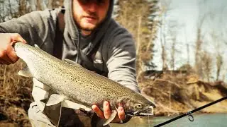 CRAZY GOOD DAY! Spring Steelhead Run