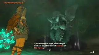 A Deal with the Statue - The Legend of Zelda: Tears of the Kingdom