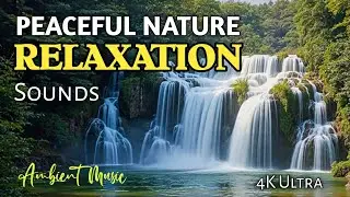 Peaceful Relaxing Music with Amazing Nature Sounds & Waterfalls in 4K | Ambient 