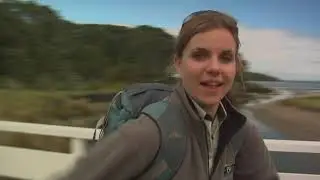 Meet the Locals: Rangitoto