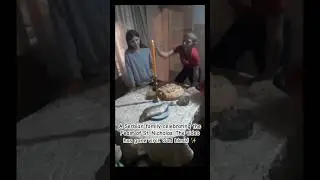 A Serbian family celebrating the Feast of St. Nicholas. The video has gone viral. God bless #holiday