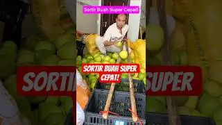 A Unique Way to Sort Fruit Super Fast Using a Simple Wooden Rail