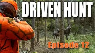 DRIVEN HUNT EPISODE 12 - Moose, Wild boar & Deer in Sm&aring;land