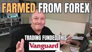 Forex to Freedom: Farming Profits That Built My Vanguard Pot