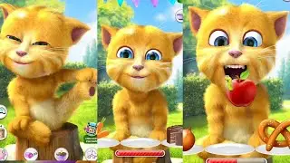 Talking Ginger Funny 😂🤣 #talkingtomandfriends