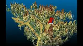 DIy TLS and Tree segmentation Fly through